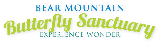 Bear Mountain Butterfly Sanctuary